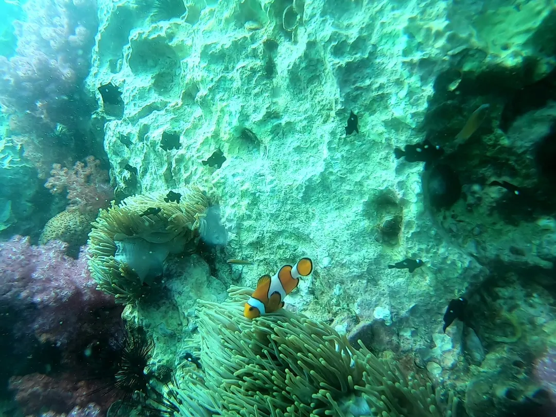1_Amazing Phuket Adventures