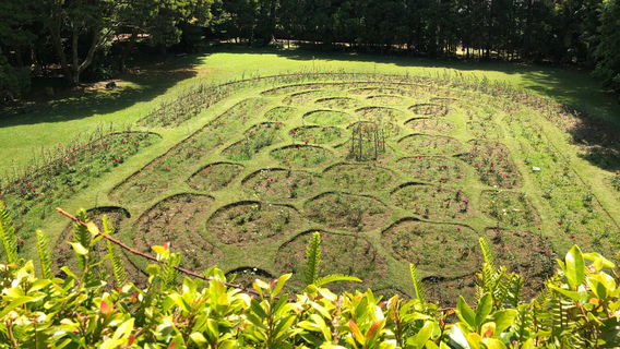 Jose do Canto Botanical Garden
