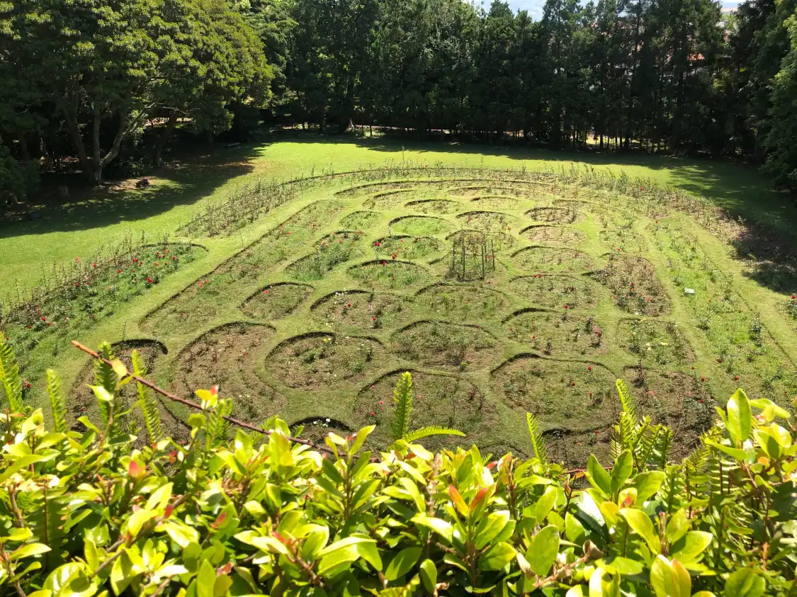Hotels near Jose do Canto Botanical Garden