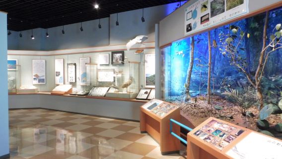 Kume Island Museum