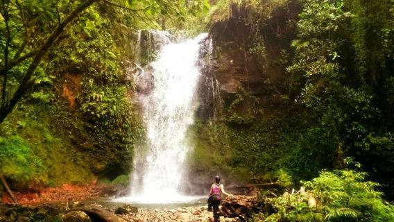 The Lost Waterfalls / Las Tres Cascadas