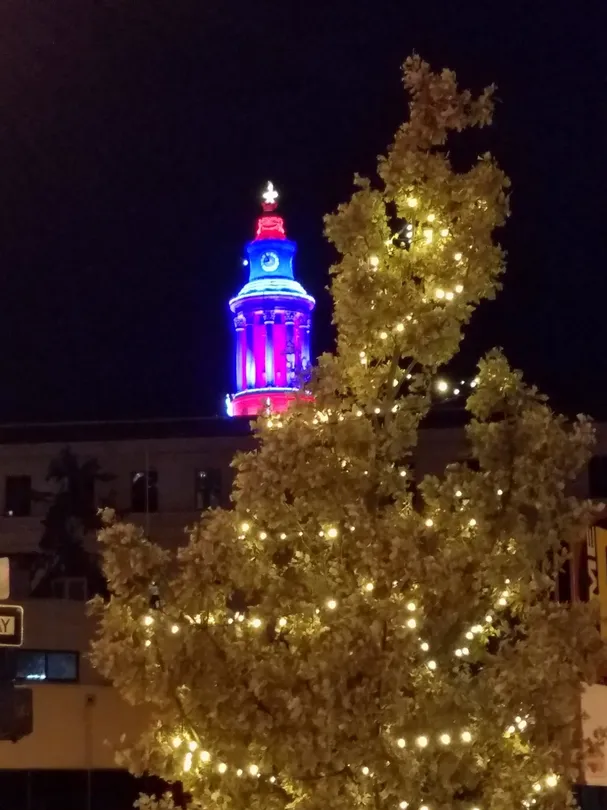 5_Irish Rose Carriages