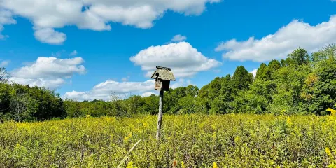 Pittsburgh Botanic Garden