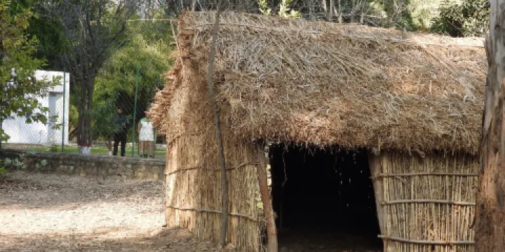 Nepli Reserve Forest