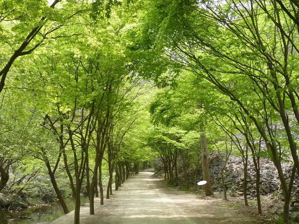 Отели рядом с достопримечательностью «Gangcheonsan County Park»