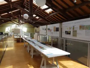 Centro Internazionale Loris Malaguzzi