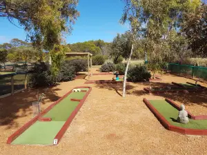 Dongara Activity Park