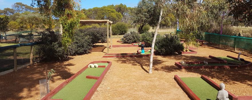 Dongara Activity Park