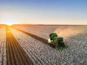 Goondiwindi Cotton