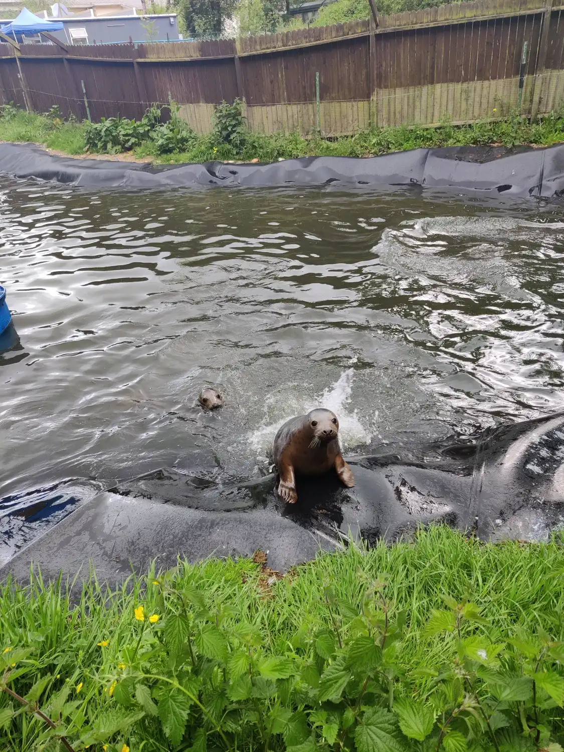 Hotels near Seal Rescue Ireland Visitor Centre