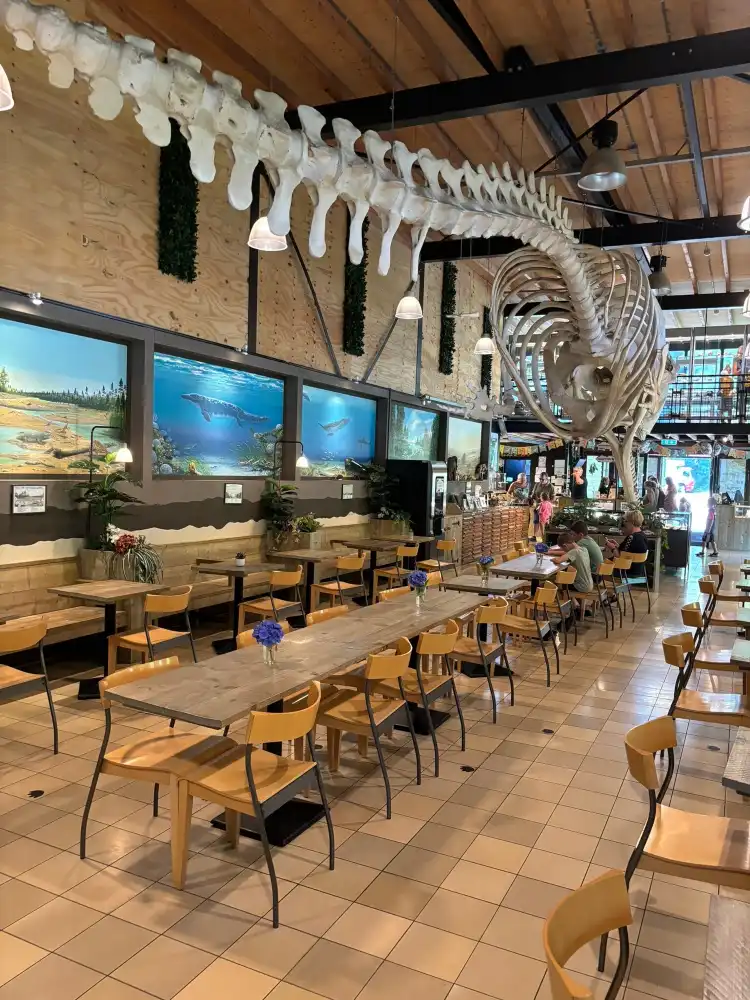 Hotels near De Ceulse Kaar