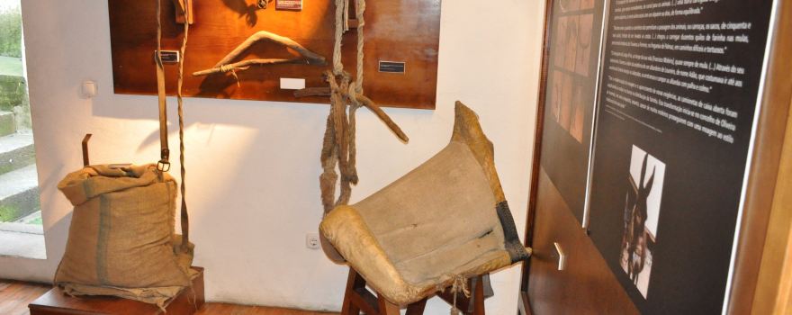Parque Tematico Molinologico