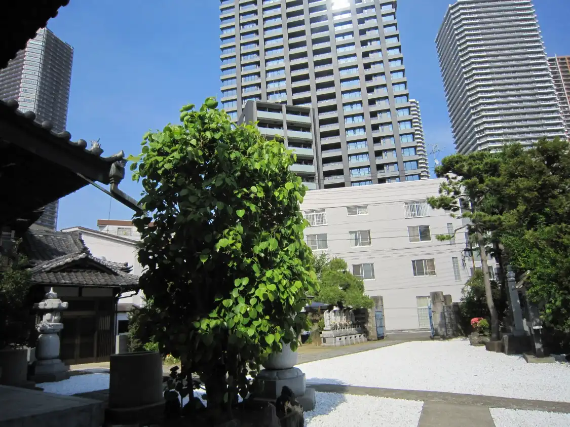Hotels near Tofuku-ji Temple