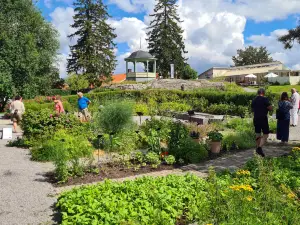 Stenegård