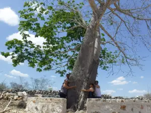 Cenote San Antonio