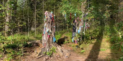 Doon Hill and Fairy Knowe