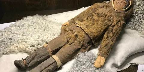 Puppen- und Spielzeugmuseum