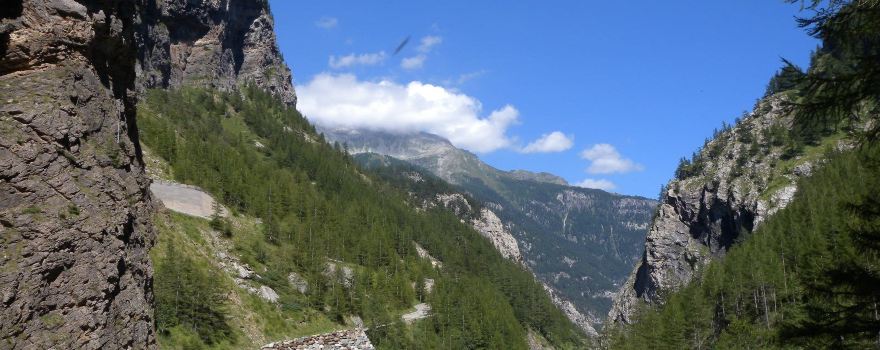 Zwischbergen