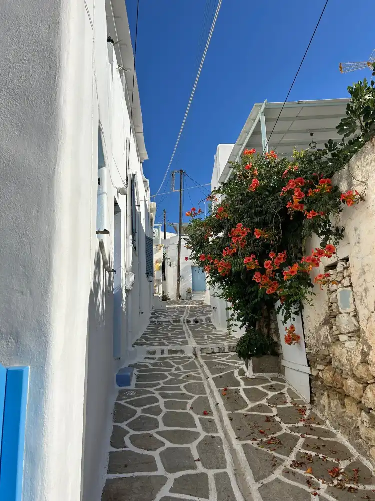 Hotels in Molos