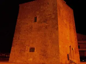 TORRE MOLINE S.P.A.