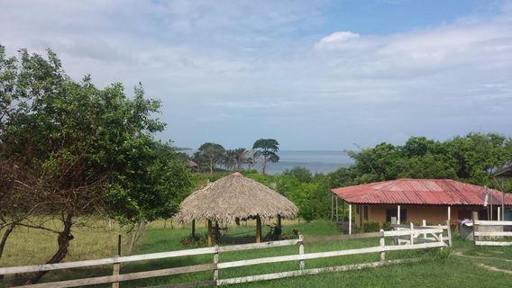 Volcán De Lodo