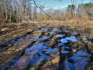 Haw River State Park