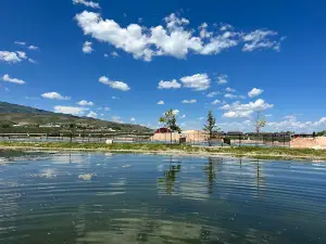Garden City Pond