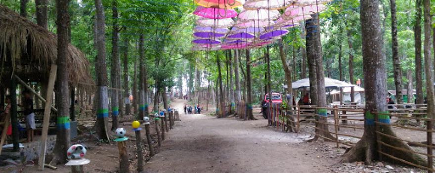 Kotok Forest Park