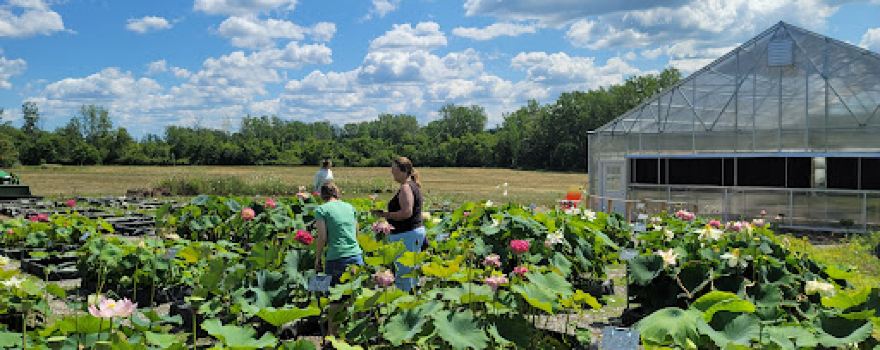 Bergen Water Gardens & Nursery