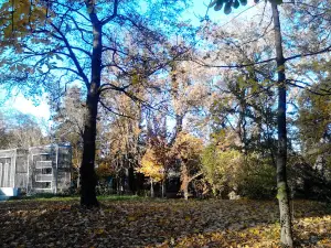 Erzsébet-kert