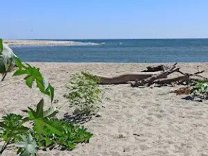 Barra de Tecoanapa