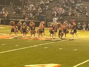 Honaker Little League