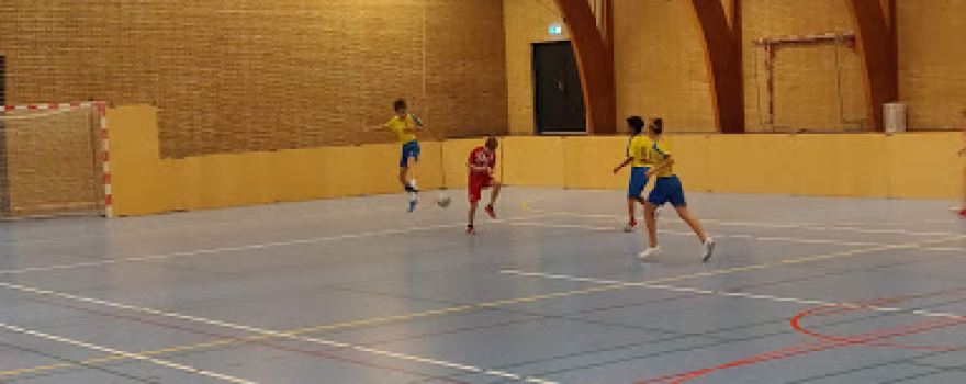 Skovbohallerne
