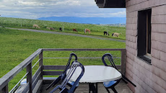 Alpagaga - Balades et randonnées avec des alpagas