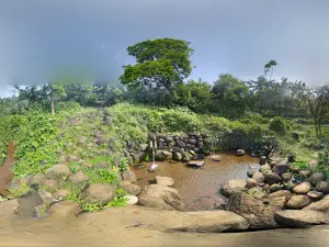 Giếng Ông - Giếng Cổ Gio An