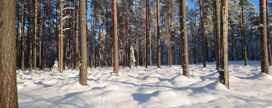 Võru Kubija discgolfi park