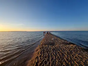 Rewa Plaża
