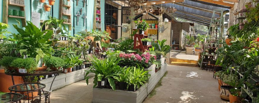 concrete & garden creations