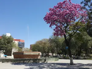 Parque Bolívar