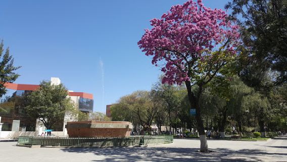 Parque Bolívar