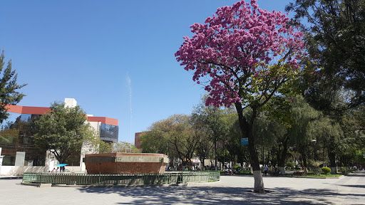 Parque Bolívar