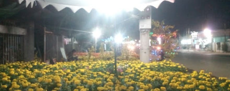 Hồ bơi Hòa Thành