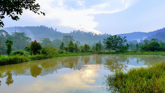 Jerantut