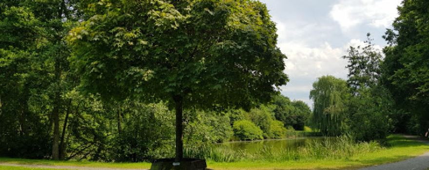 Bürger Park