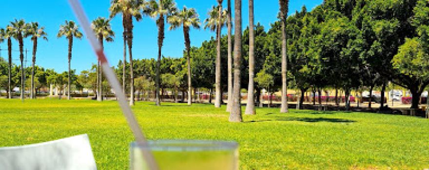 Parque Municipal de El Ejido