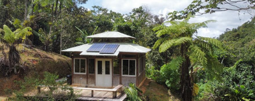 Salón Bosque Olimpia
