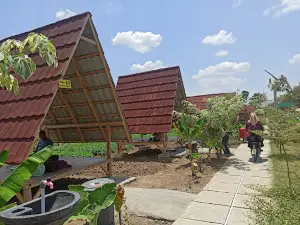 NOYO GIMBAL VIEW