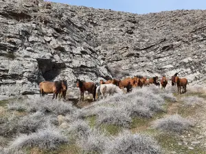 Karatau Mountains
