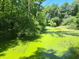 Humiston Woods Nature Preserve