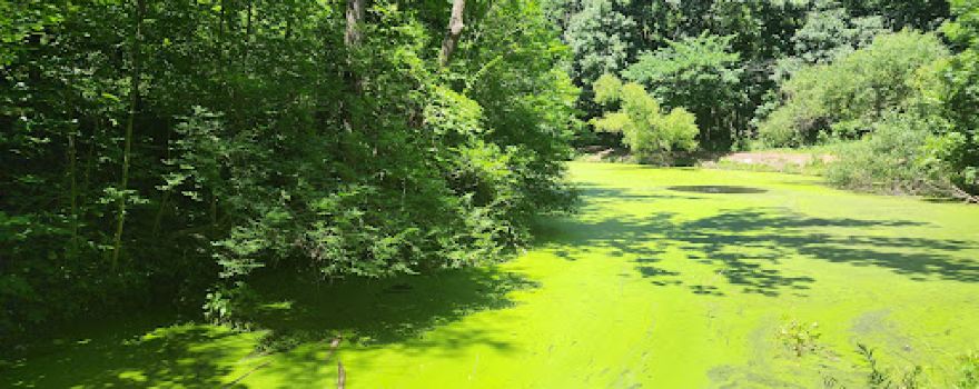 Humiston Woods Nature Preserve
